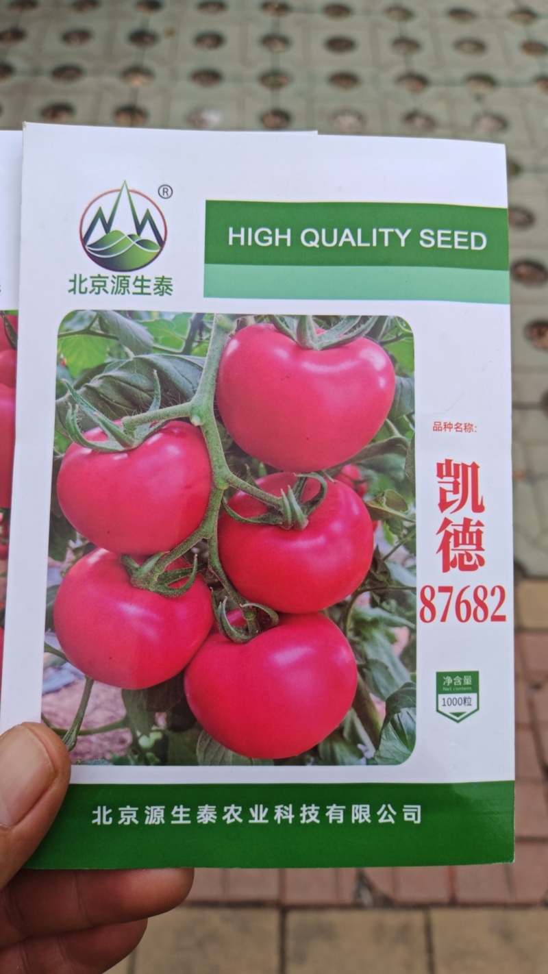 西红柿苗硬粉西红柿苗0.45-0.65元/棵;草莓番茄苗