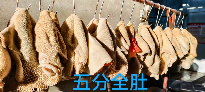 五分全肚，五分牛肚，工厂直发。源头好货源。