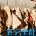 五分全肚，五分牛肚，工厂直发。源头好货源。