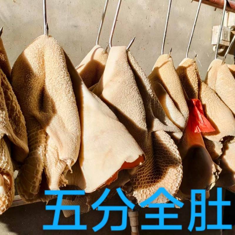 五分全肚，五分牛肚，工厂直发。源头好货源。