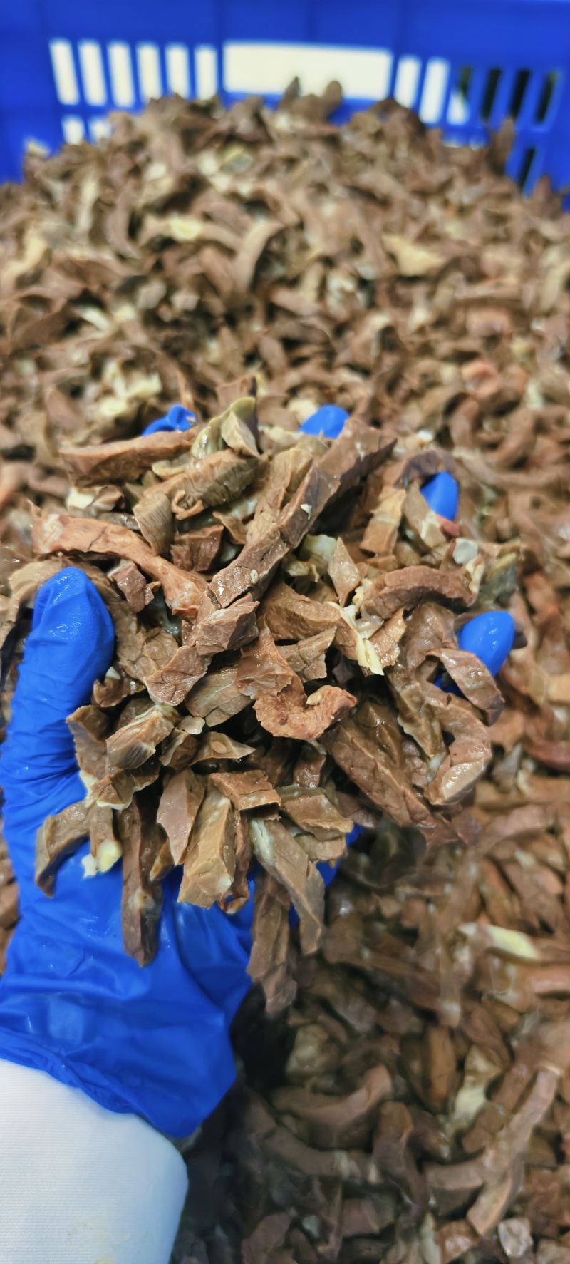牛废丝，5斤一包，工厂直发。源头好货源