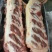 带肉牛胸骨，25公斤一件，工厂直发。