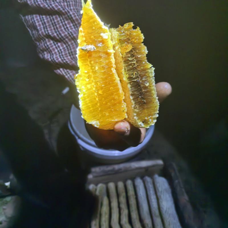 纯土蜂蜜需要的老板联系