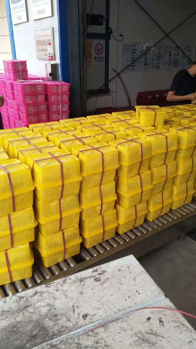 新疆吐鲁番无核白葡萄大量批发