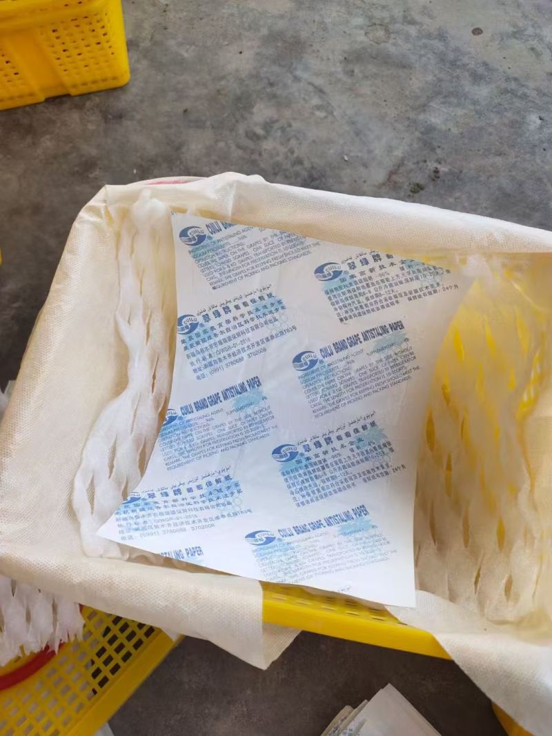 新疆吐鲁番无核白葡萄大量批发