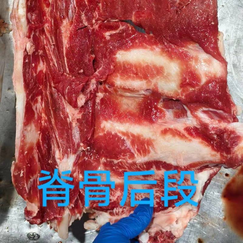 脊骨后段，25公斤一件。国产好货源。