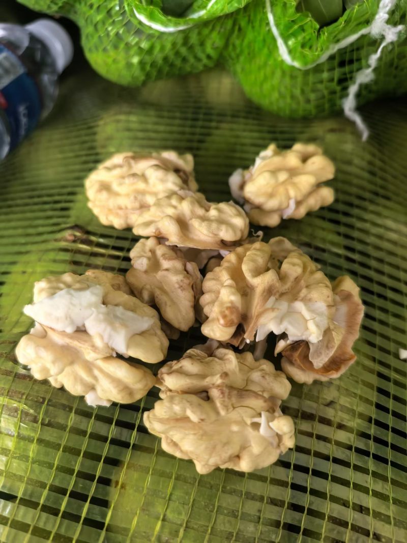 核桃