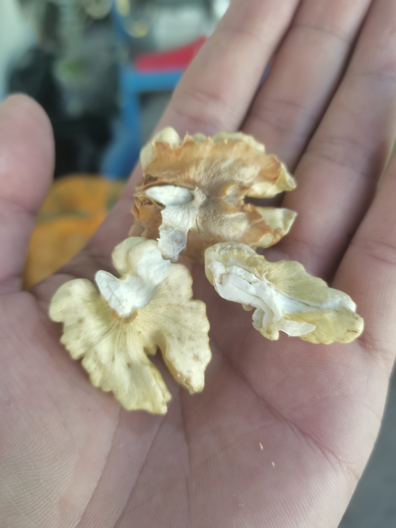 核桃