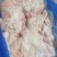 腰窝油白，25公斤一件，国产好货源，工厂直发。