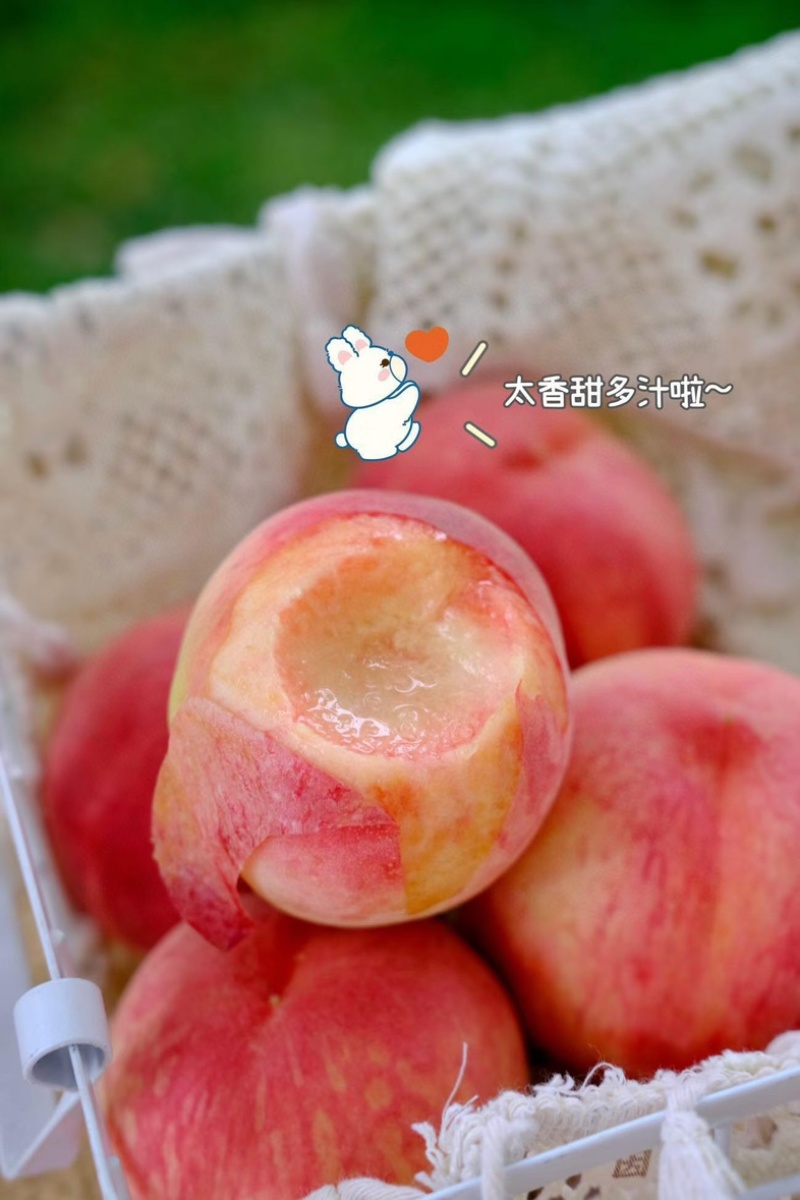 四川湖景水蜜桃上市啦！晚熟的蜜桃超甜