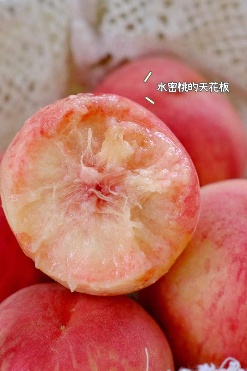 四川湖景水蜜桃上市啦！晚熟的蜜桃超甜
