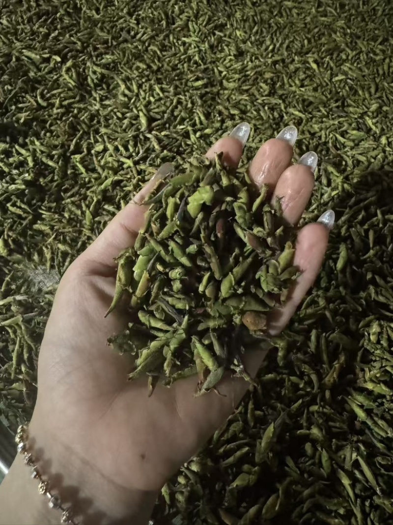越南高山雪茶-古树茶