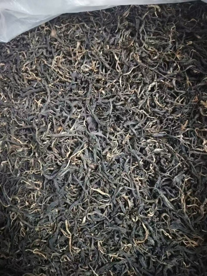 越南高山雪茶-古树茶