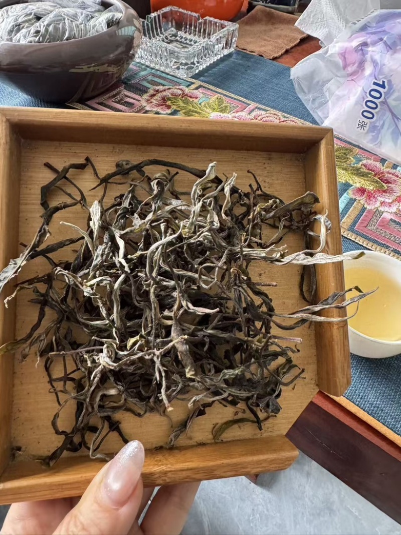 越南高山雪茶-古树茶