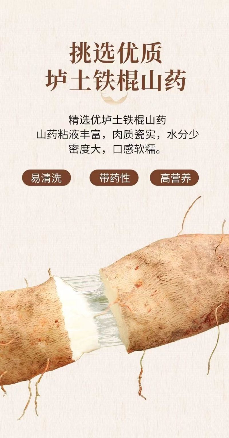 铁棍山药·河南焦作