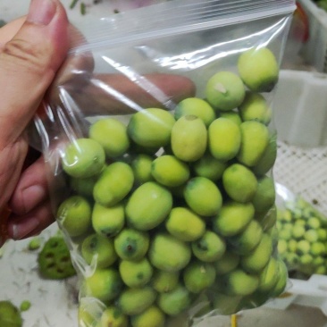 新鲜青莲子安徽芜湖基地直发现剥现发