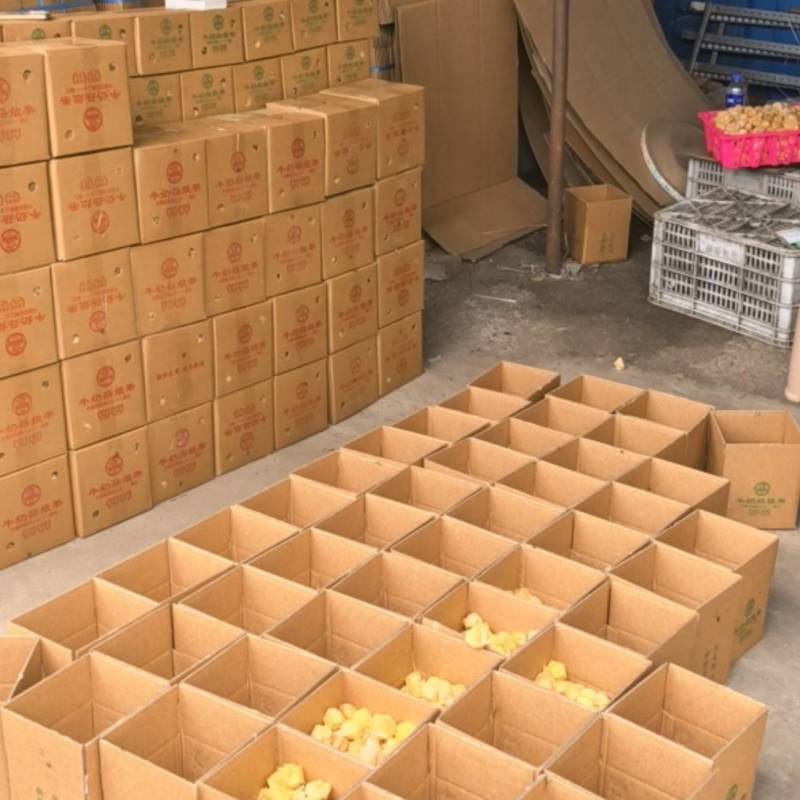 东北姑娘果支持全平台一件代发，市场批发品质好，