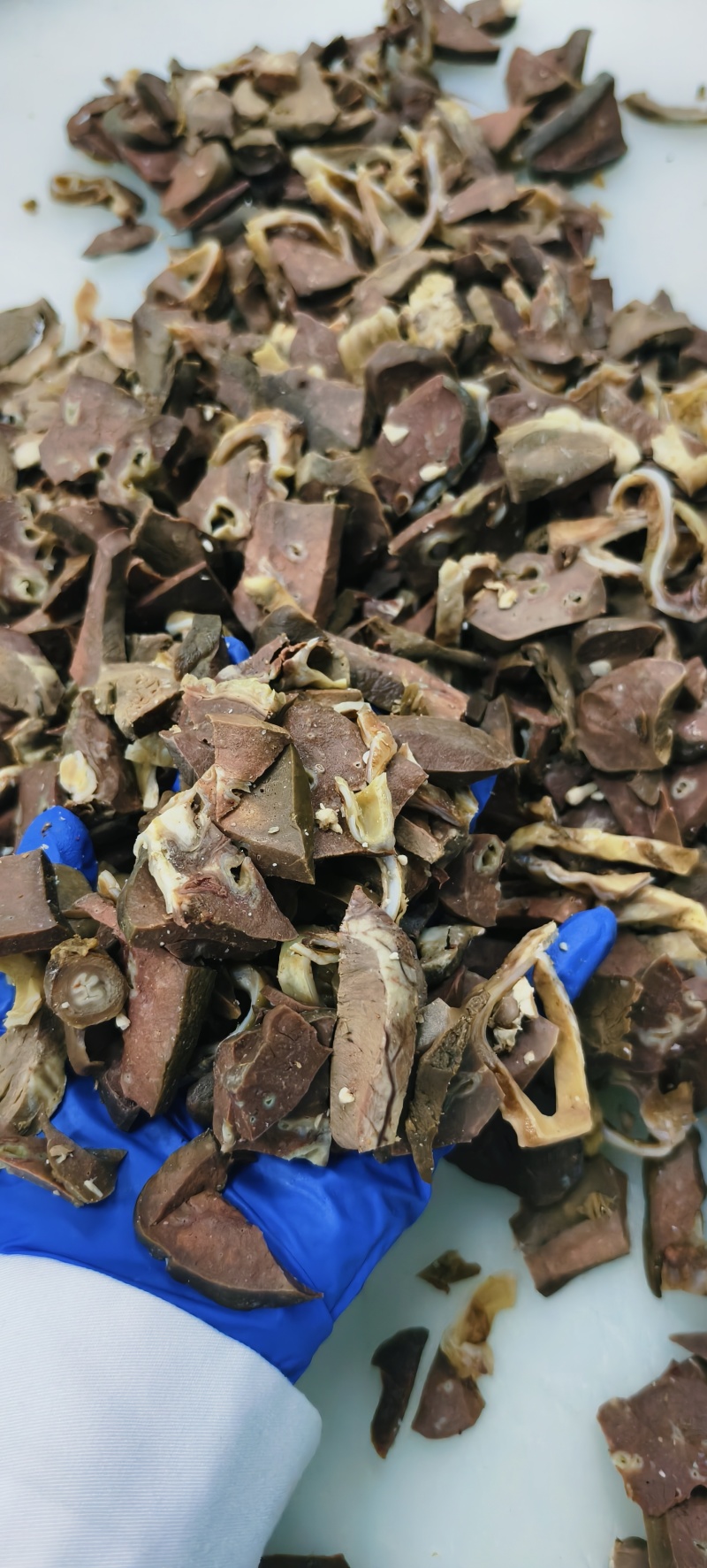 五香羊心肺片，