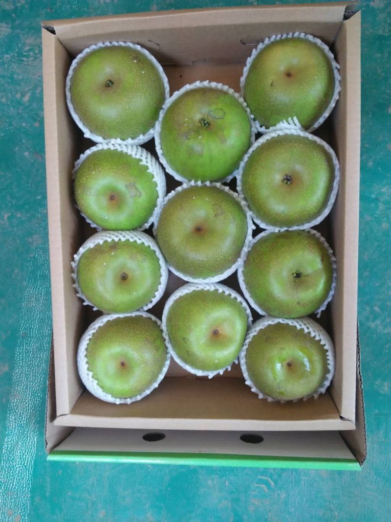 翠冠梨，品质**。
