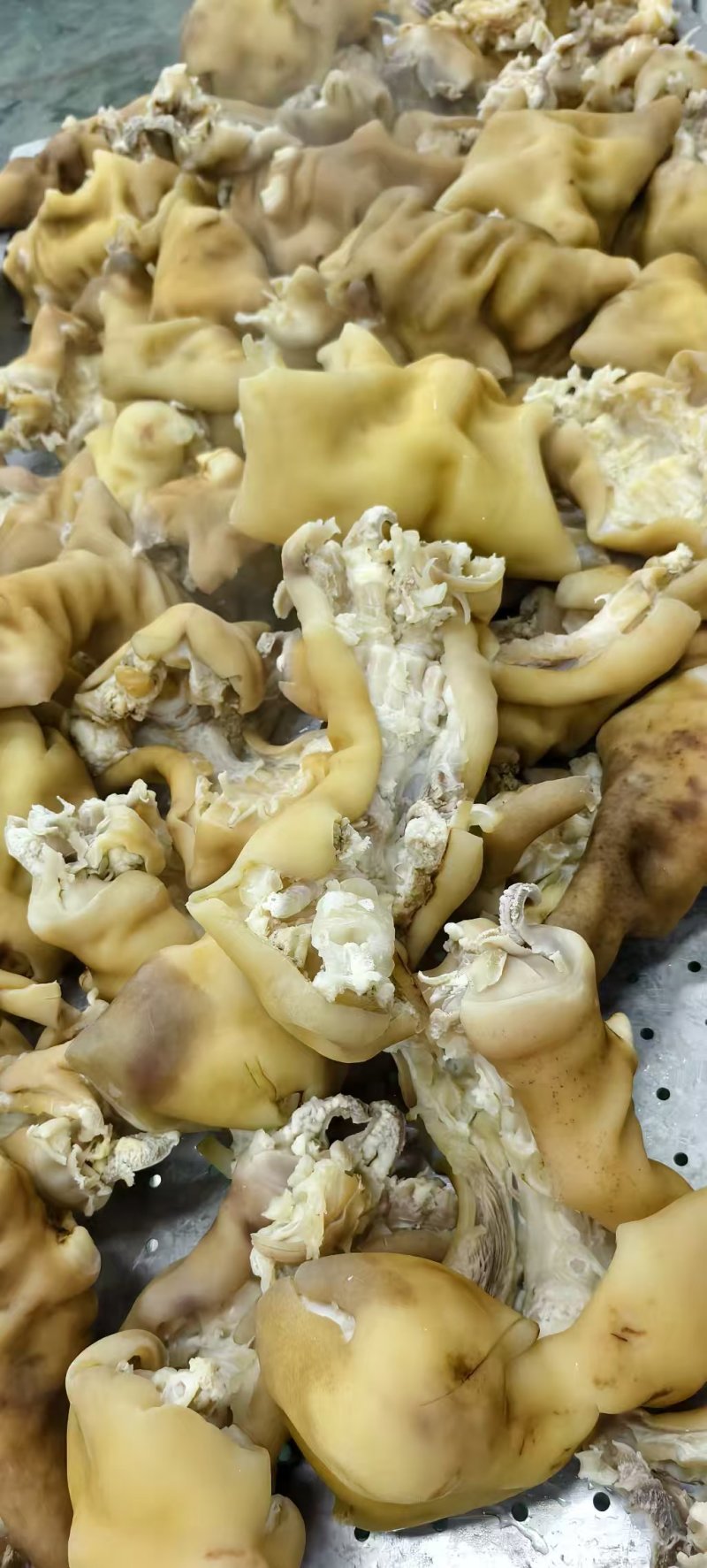 白水全去骨，