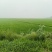 稻草草包