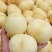 汉白玉白桃（产地直销质量好！）