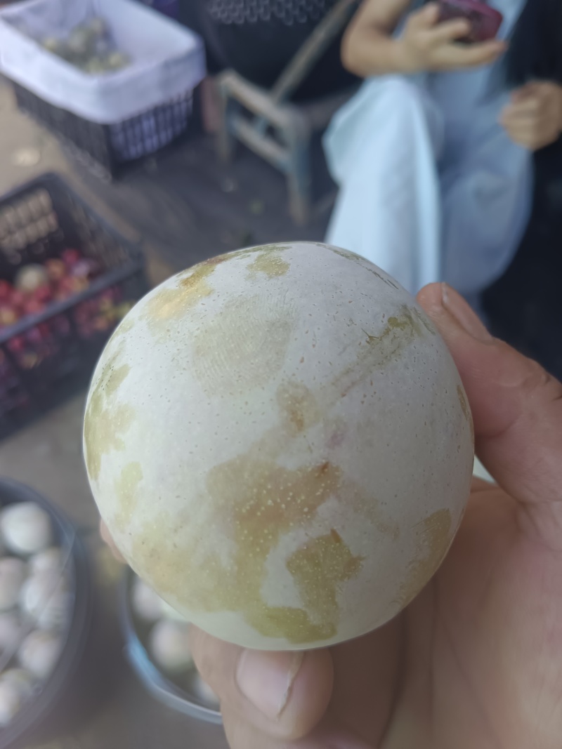 红心李，芙蓉李，脆甜多汁，产地直销，量大。欢迎大家光临。