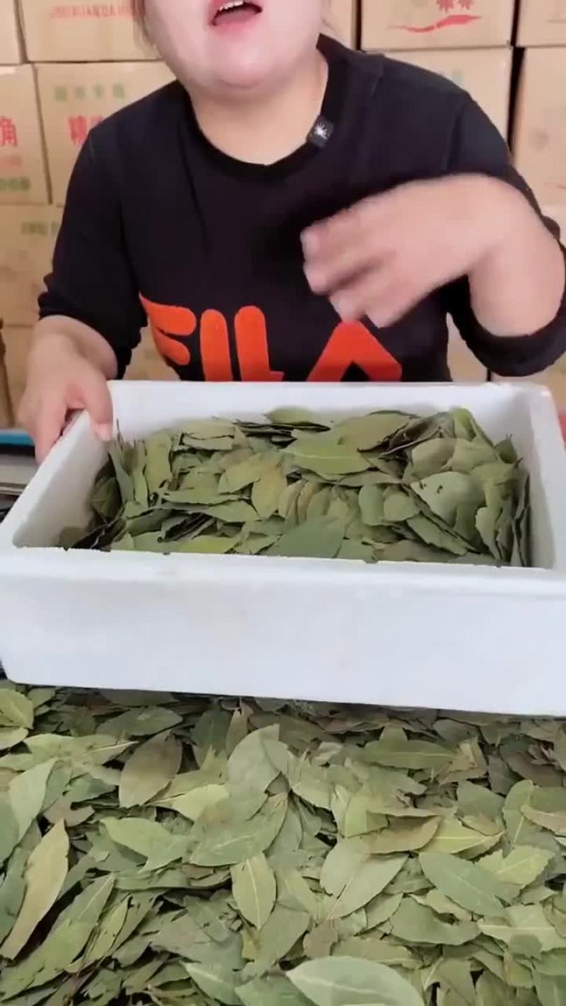 【只发新货】广西头茬香叶无熏硫月桂叶净重足干无干燥剂