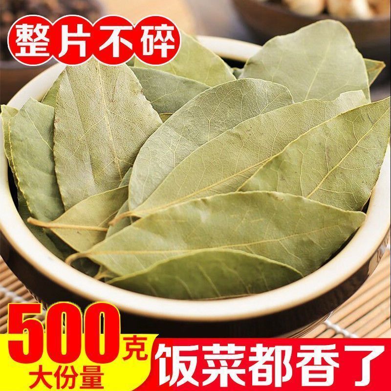 【只发新货】广西头茬香叶无熏硫月桂叶净重足干无干燥剂