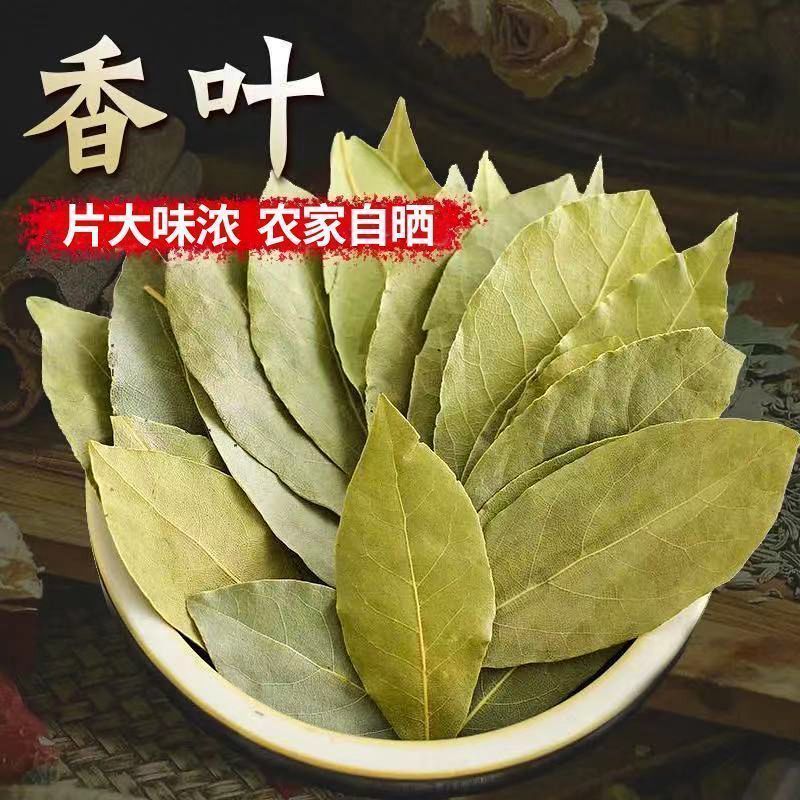 【只发新货】广西头茬香叶无熏硫月桂叶净重足干无干燥剂