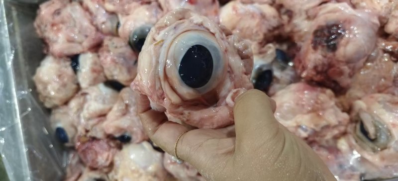 生牛眼，25公斤一件。源头好货源，工厂直发。