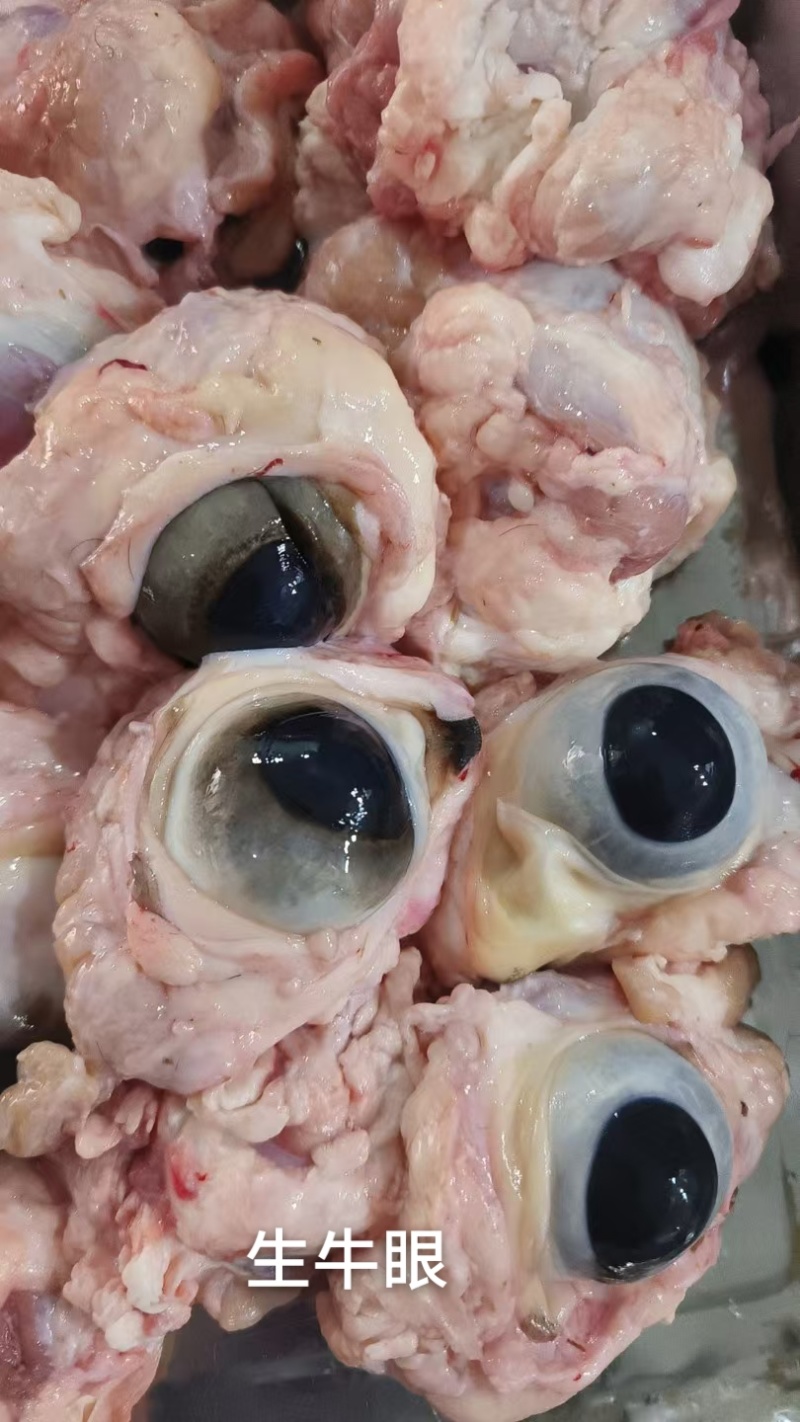 生牛眼，25公斤一件。源头好货源，工厂直发。