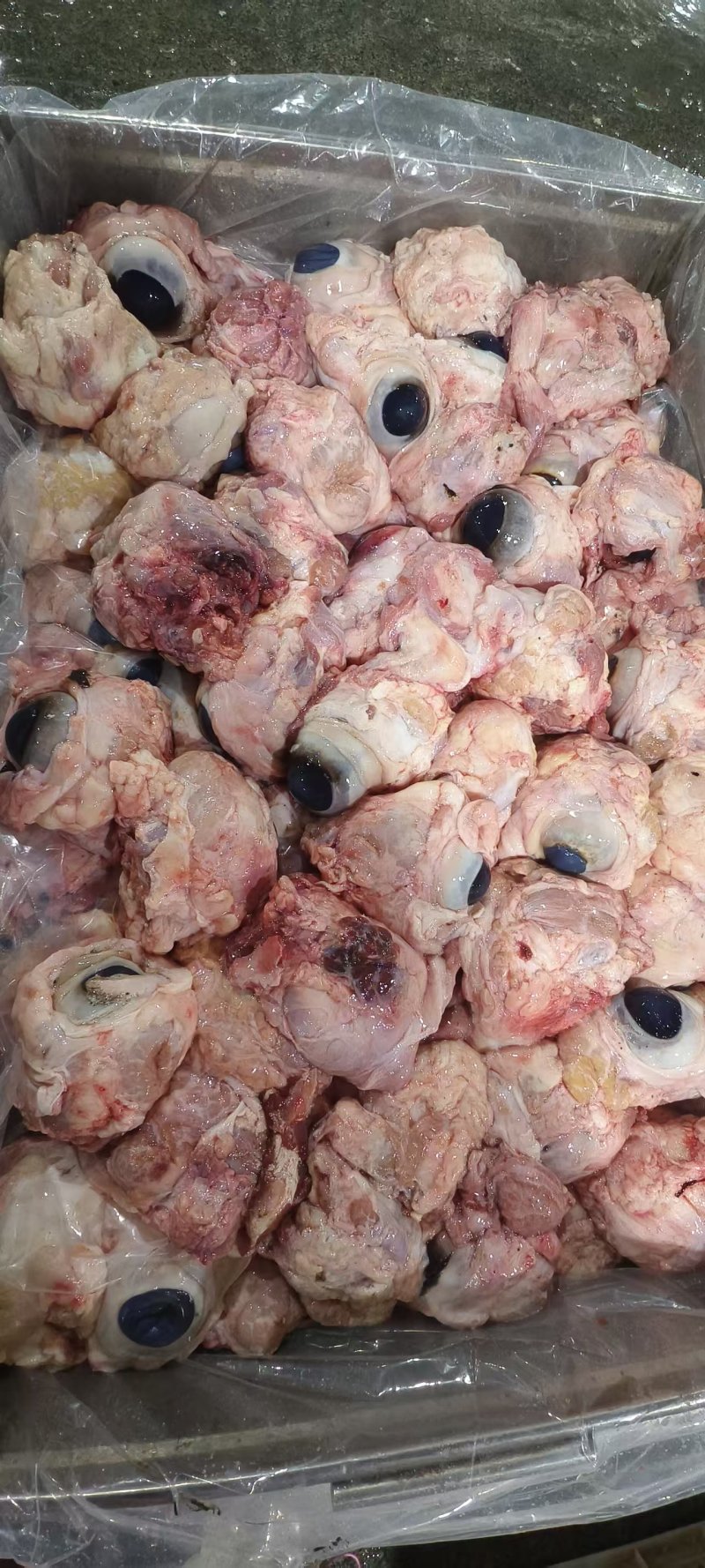 生牛眼，25公斤一件。源头好货源，工厂直发。