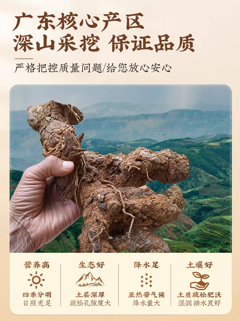 新货土茯苓片中药材莫氏鸡煲同款汤包药食同源干货量大优惠