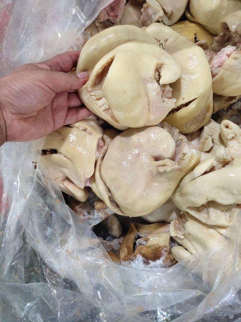 半成品牛子宫，工厂直发。国产好货源。