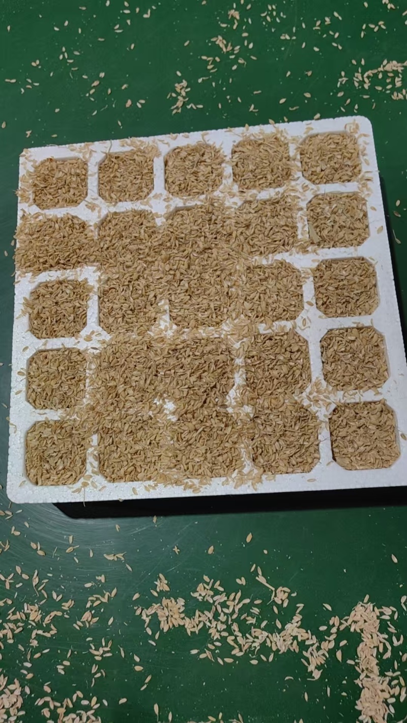 压缩稻壳量大优惠厂家直销全国发货质量保障