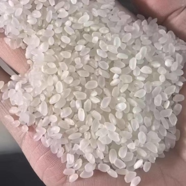 东北珍珠米