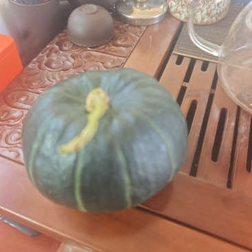 贝贝南瓜