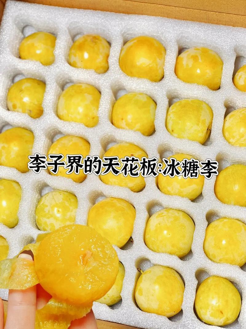 高山冰糖李，桃花李，果香浓郁汁水丰富，老人小孩皆宜