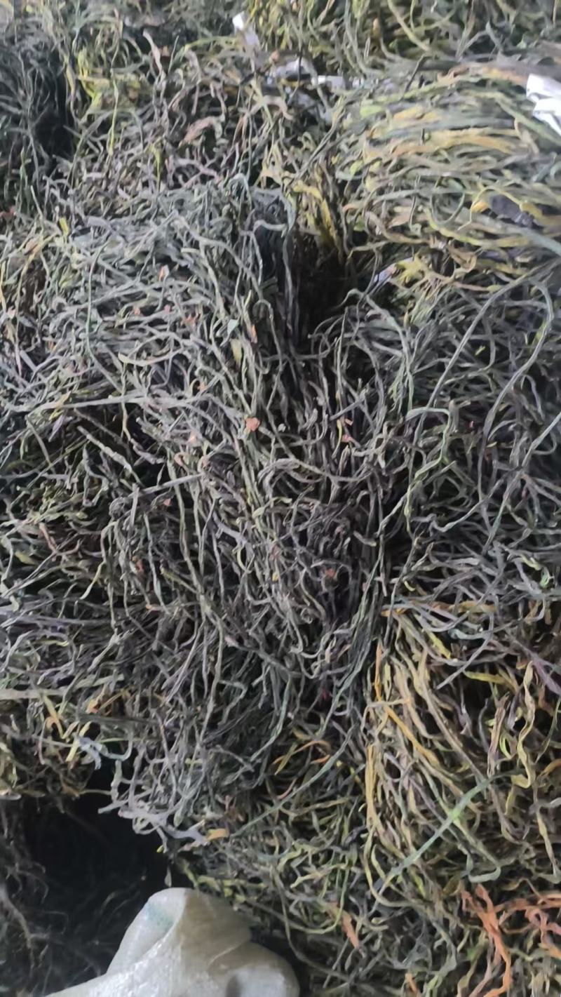成武干豆角