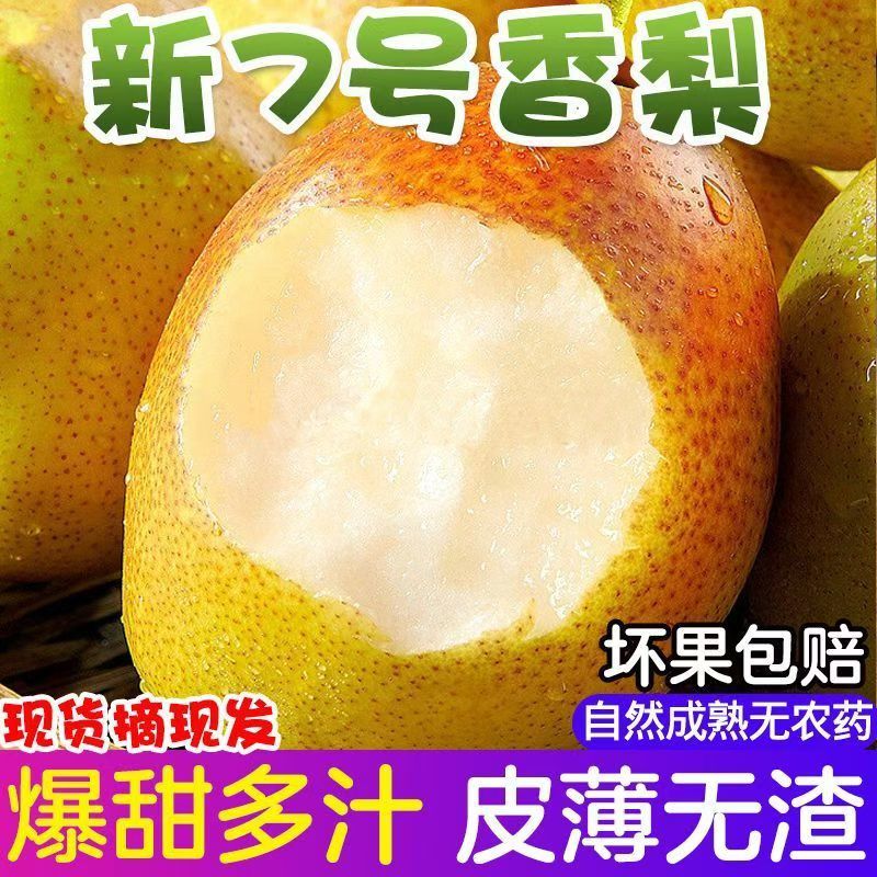 河北梨区主战场开始下树，承接电商一件代发，商超代采。。