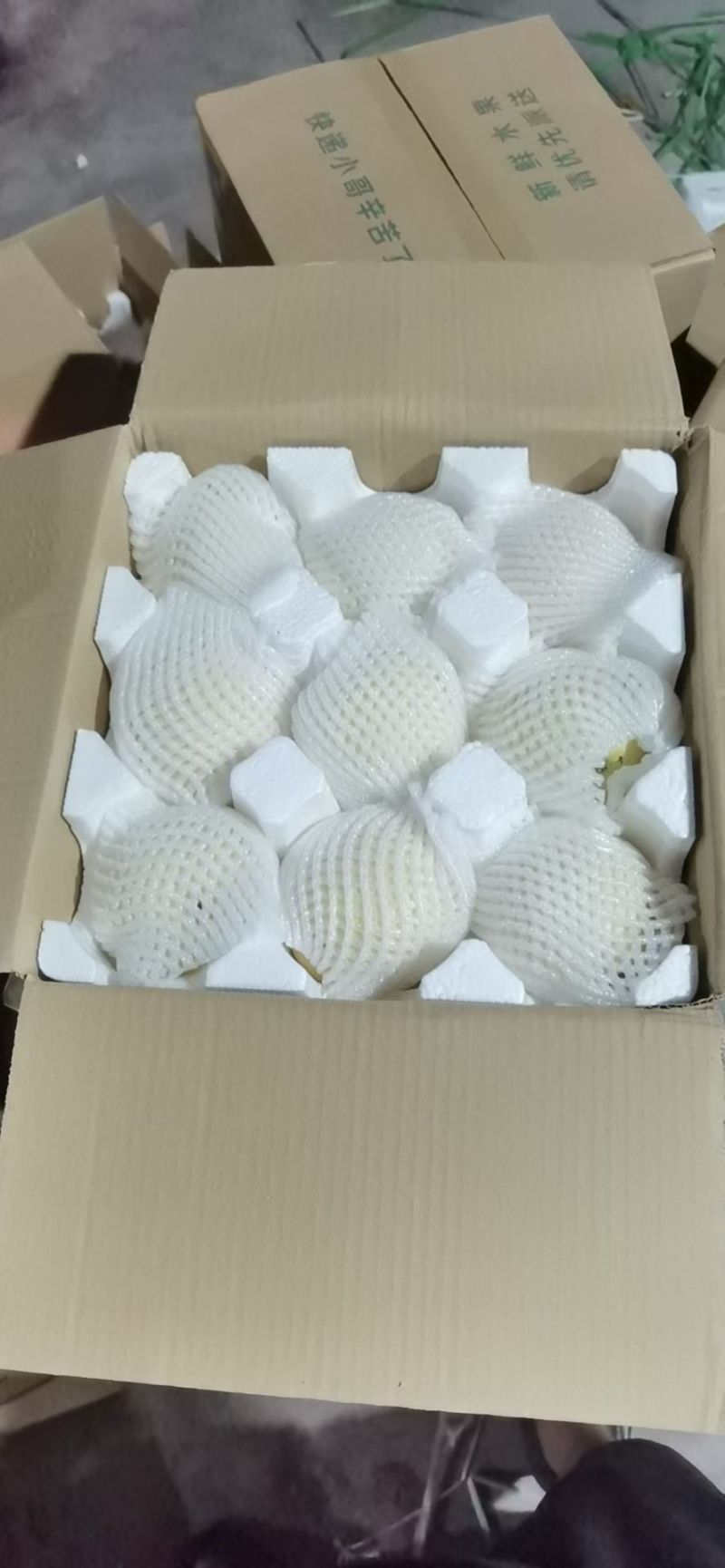 河北梨区主战场开始下树，承接电商一件代发，商超代采。。