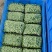 青黄豆芽苗菜