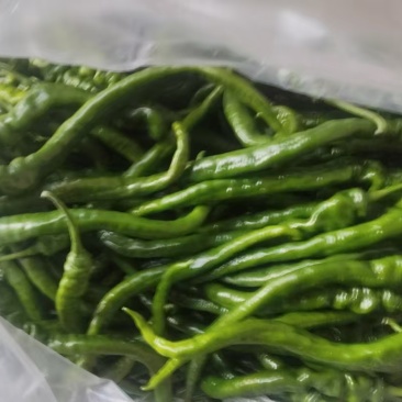 鲜辣椒