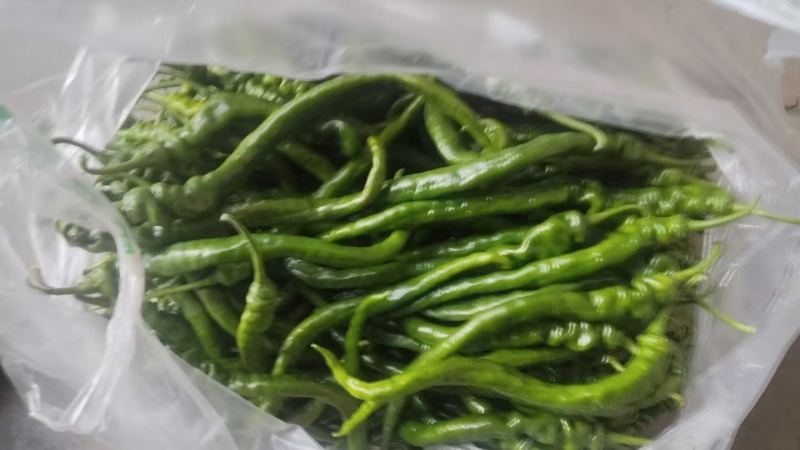 鲜辣椒