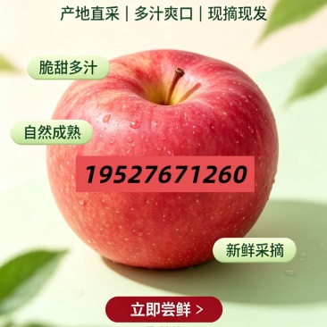 云南早熟红露樱桃小苹果