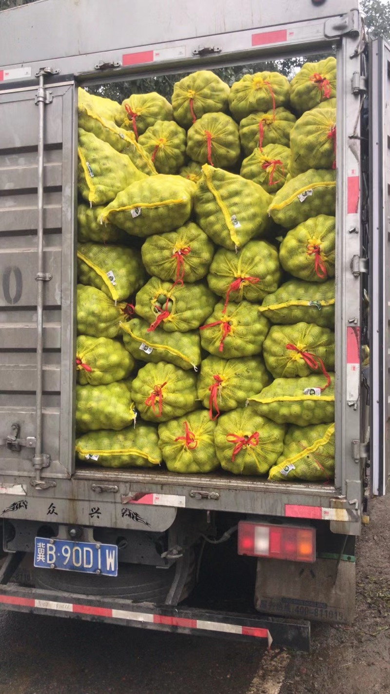 青皮核桃！辽系核桃，青香核桃，老品种核桃！品种齐全。