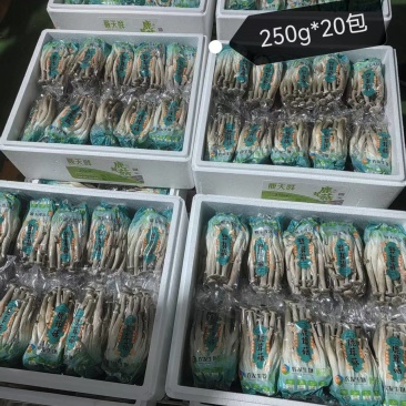 鹿茸菇小包装