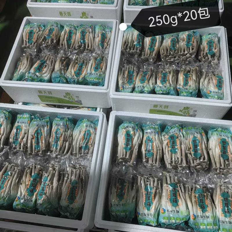 鹿茸菇小包装