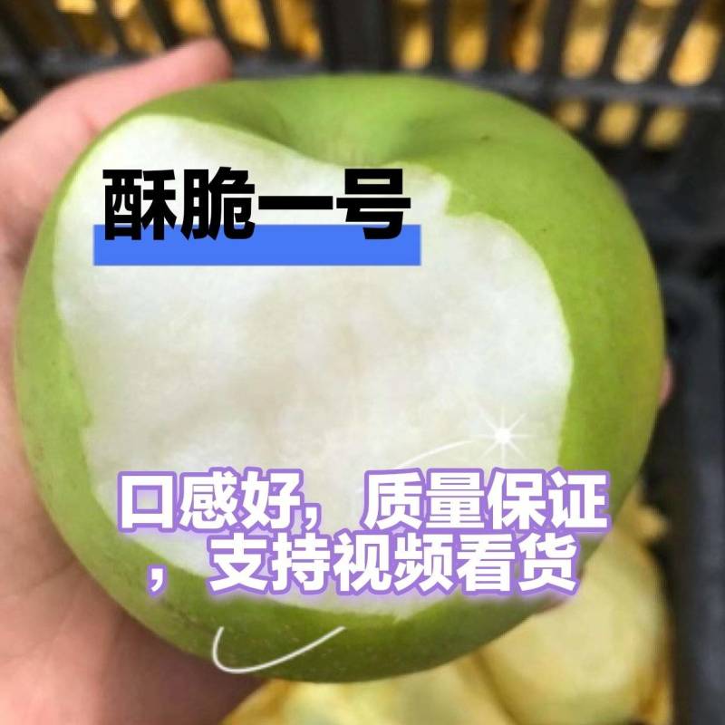 酥脆一号，口感，酥脆，糖度高，质量好，诚信第一位